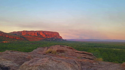 From Kakadu to Wadawurrung - Marrawuddi Arts Centre artists in Murran