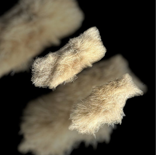 Tamay Beam Art-Possum Fur Hair Clips