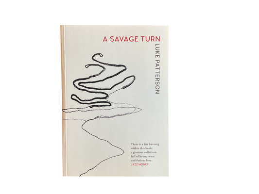A Savage Turn - Luke Patterson