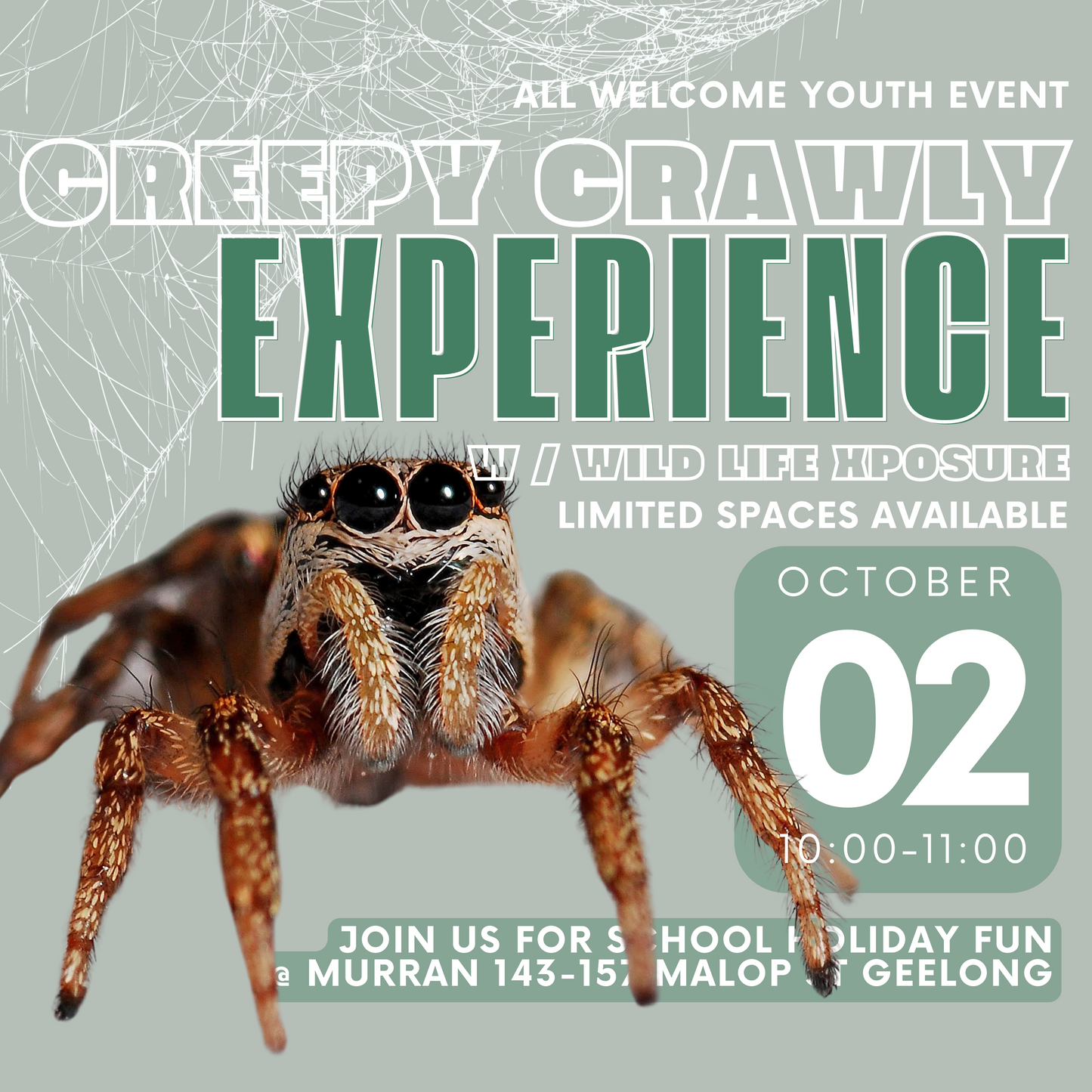 Wild Life Xposure - Creepy Crawly Experience