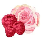 Heal Thy Soda Range 330ml