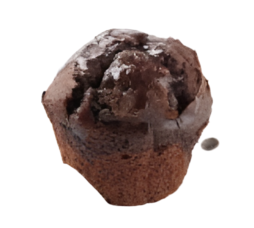 Choc Muffin