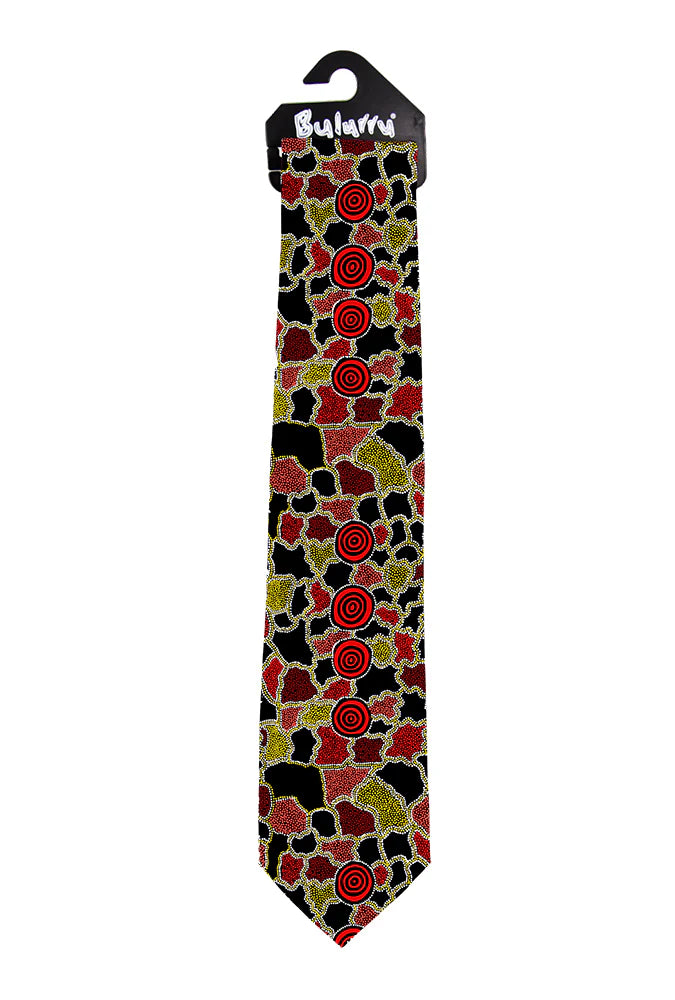 APMA Creations - Silk Ties